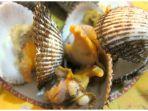 berikut-kerang-mantul.jpg
