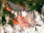 berikut-video-penampakan-kebakaran-hutan-di-australia-via-satelit-nasa.jpg