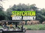 berpetualang-keliling-taman-safari-naik-buggy-journey.jpg