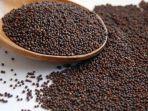 biji-mustard-2.jpg