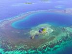 bird-island_20170705_103720.jpg