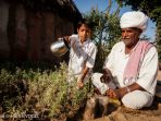 bishnoi_20170219_191116.jpg