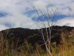 black-mountain-di-kalkajaka-national-park.jpg