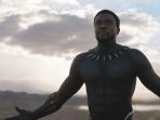 black-panther_20180525_090604.jpg