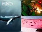 blue-whale-challenge_20170503_100039.jpg
