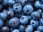 blueberry_20180502_192608.jpg