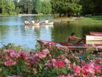 bois-de-vincennes_20170902_114658.jpg