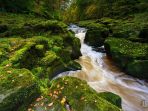 bolton-strid_20170426_155809.jpg