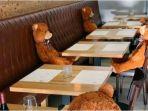 boneka-beruang-di-restoran.jpg