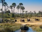 botswana_20180519_201518.jpg