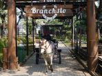 branchsto-bsd.jpg