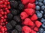 buah-berry_20180708_191806.jpg