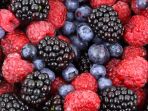 buah-berry_20180708_191841.jpg