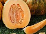 buah-blewah.jpg