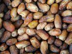 buah-kurma.jpg