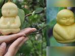 Pir Bayi - Inilah Buah Paling Populer di Asia, Cocok Untuk Buah Tangan Saat Tahun Baru