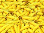 buah-pisang-1.jpg