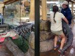buaya-di-reptile-zoo-dan-pawang-yang-memberi-makan.jpg