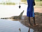 Fakta Unik Bazoule, Desa yang Warganya Hidup Berdampingan dengan Ratusan Buaya