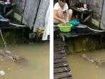 buaya-mendatangi-rumah-warga_20171206_134647.jpg