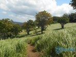 bukit-belong_20170914_170037.jpg