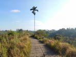 bukit-campuhan-gianyar-bali.jpg