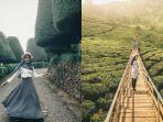 Bukit Jamur Rancabolang Ciwidey, Wisata Alam di Bandung yang Dikelilingi Kebun Teh Instagramable