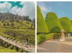 bukit-jamur-rancabolang2.jpg