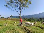 bukit-manggala.jpg
