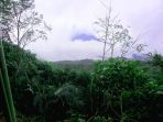 bukit-pronojiwo_20170225_170527.jpg