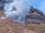 bukit-teletubbies-gunung-bromo-kebakaran.jpg