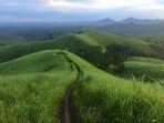 bukit-teletubbies_20180526_121705.jpg