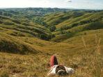 bukit-warinding-sumba.jpg