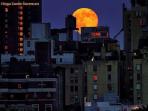 Fenomena Supermoon Terjadi 26 dan 27 April 2021, Begini Cara Melihatnya