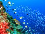 bunaken_20171026_163150.jpg