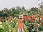 bunga-bunga-di-the-blooms-garden.jpg
