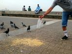 burung_20170408_113403.jpg