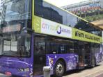 bus-pariwisata-mpok-siti_20160728_200259.jpg