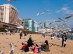 busan-korea-selatan_20170912_085158.jpg