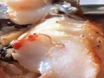 cacing-masih-hidup-terdapat-di-ikan-cod_20180801_190742.jpg
