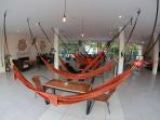 cafe-hammock-plus_20161013_221210.jpg
