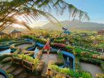 cafe-sawah-pujon-kidul-di-malang.jpg