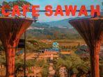 cafe-sawah-pujon-kidul-satu-wisata-instagramable-di-malang.jpg
