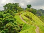 campuhan-ridge-walk_20170428_190556.jpg
