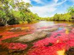 cano-cristales-river.jpg