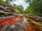 cano-cristales_20171023_142456.jpg
