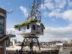 canopy-stars-at-crane-29_20170311_204933.jpg