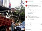 capture-video-aksi-bule-cewek-bantu-angkat-pohon-jepun-di-bali.jpg