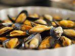 cara-memasak-kerang-biar-tidak-amis.jpg