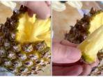cara-unik-makan-nanas-tanpa-mengupas-menggunakan-pisau.jpg